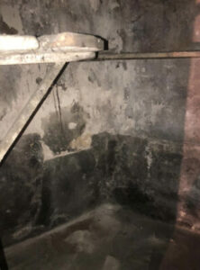 Équipe professionnelle effectuant le débarras des encombrants dans des caves d'immeuble à Paris 14e-Image10